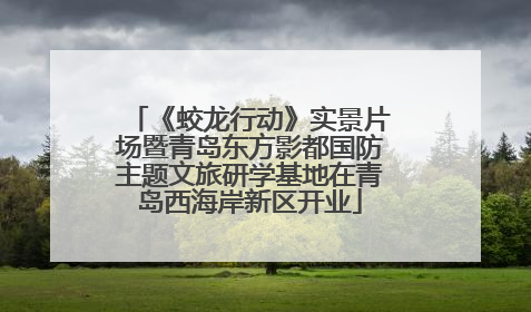 《蛟龙行动》实景片场暨青岛东方影都国防主题文旅研学基地在青岛西海岸新区开业