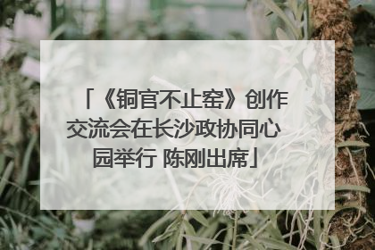 《铜官不止窑》创作交流会在长沙政协同心园举行 陈刚出席