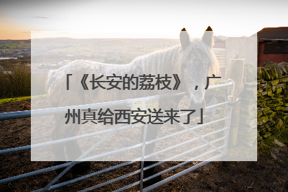 《长安的荔枝》，广州真给西安送来了
