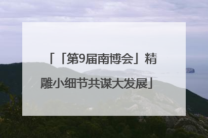 「第9届南博会」精雕小细节共谋大发展