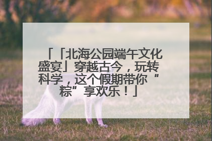 「北海公园端午文化盛宴」穿越古今，玩转科学，这个假期带你“粽”享欢乐！
