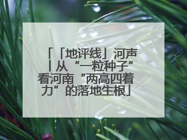 「地评线」河声丨从“一粒种子”看河南“两高四着力”的落地生根