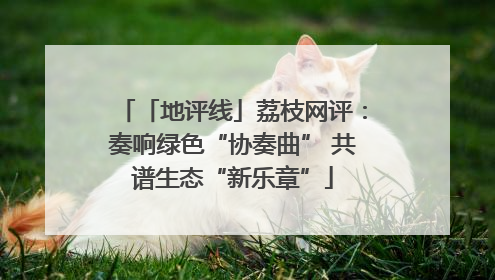「地评线」荔枝网评：奏响绿色“协奏曲” 共谱生态“新乐章”