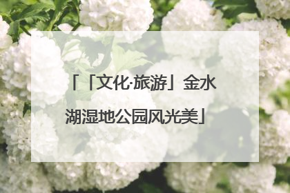 「文化·旅游」金水湖湿地公园风光美