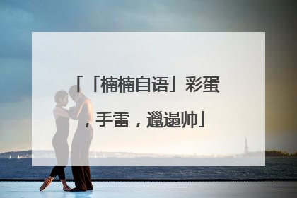 「楠楠自语」彩蛋，手雷，邋遢帅