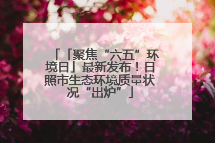 「聚焦“六五”环境日」最新发布！日照市生态环境质量状况“出炉”