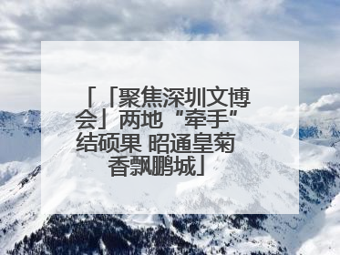 「聚焦深圳文博会」两地“牵手”结硕果 昭通皇菊香飘鹏城