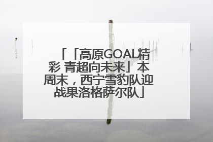 「高原GOAL精彩 青超向未来」本周末，西宁雪豹队迎战果洛格萨尔队