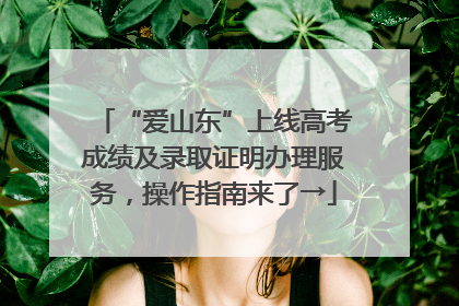“爱山东”上线高考成绩及录取证明办理服务，操作指南来了→