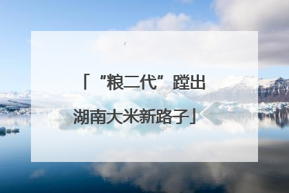 “粮二代”蹚出湖南大米新路子