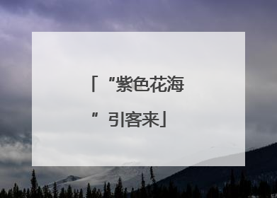 “紫色花海”引客来