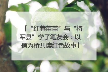 “红巷苗苗”与“将军县”学子笔友会：以信为桥共读红色故事
