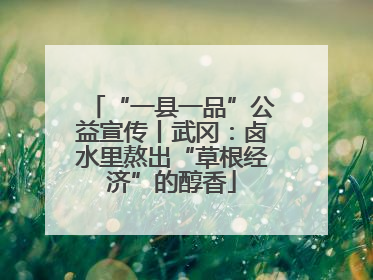 “一县一品”公益宣传丨武冈：卤水里熬出“草根经济”的醇香