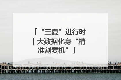 “三夏”进行时｜大数据化身“精准割麦机”