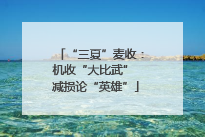 “三夏”麦收：机收“大比武” 减损论“英雄”