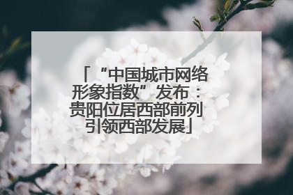 “中国城市网络形象指数”发布：贵阳位居西部前列 引领西部发展
