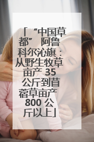 “中国草都” 阿鲁科尔沁旗：从野生牧草亩产 35 公斤到苜蓿草亩产 800 公斤以上