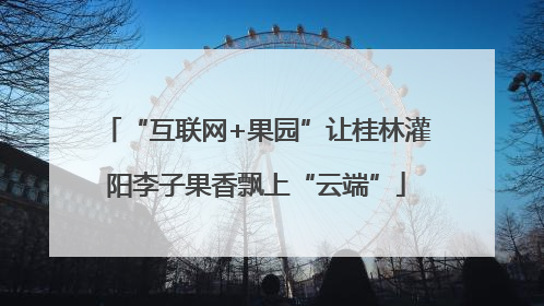 “互联网+果园”让桂林灌阳李子果香飘上“云端”