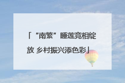 “南繁”睡莲竞相绽放 乡村振兴添色彩