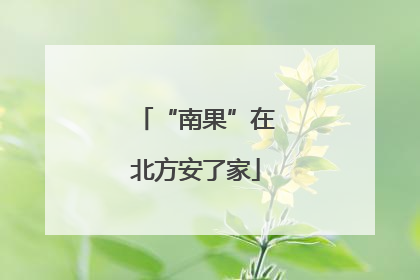 “南果”在北方安了家