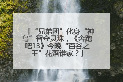 “兄弟团”化身“神鸟”智夺灵珠，《奔跑吧13》今晚“百谷之王”花落谁家？