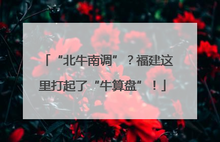 “北牛南调”？福建这里打起了“牛算盘”！