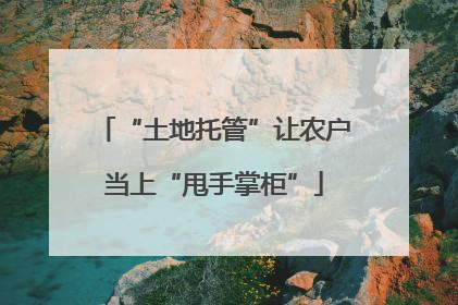“土地托管”让农户当上“甩手掌柜”
