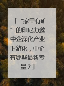 “家里有矿”的印尼力邀中企深化产业下游化，中企有哪些最新考量？
