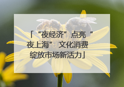 “夜经济”点亮“夜上海” 文化消费绽放市场新活力