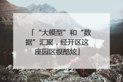 “大模型”和“数据”汇聚，经开区这座园区很酷炫