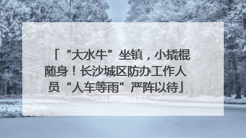 “大水牛”坐镇，小撬棍随身！长沙城区防办工作人员“人车等雨”严阵以待