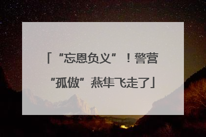 “忘恩负义”！警营“孤傲”燕隼飞走了