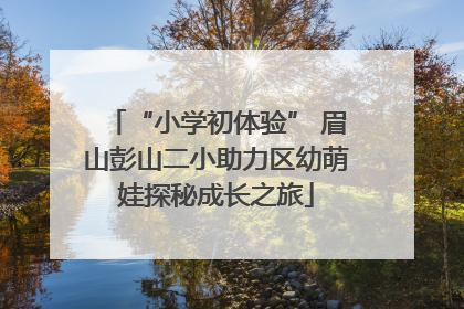 “小学初体验” 眉山彭山二小助力区幼萌娃探秘成长之旅