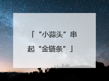 “小蒜头”串起“金链条”