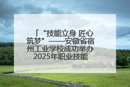 “技能立身 匠心筑梦”——安徽省宿州工业学校成功举办2025年职业技能活动周各项活动