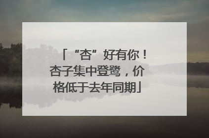 “杏”好有你！杏子集中登鹭，价格低于去年同期