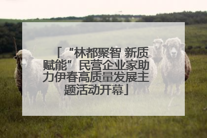 “林都聚智 新质赋能”民营企业家助力伊春高质量发展主题活动开幕