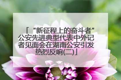 “新征程上的奋斗者”公安先进典型代表中外记者见面会在湖南公安引发热烈反响(二)