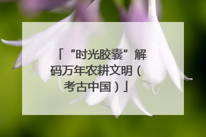“时光胶囊”解码万年农耕文明（考古中国）