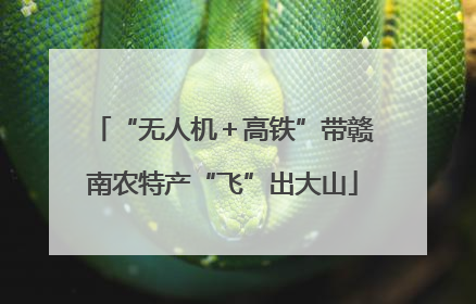 “无人机＋高铁”带赣南农特产“飞”出大山
