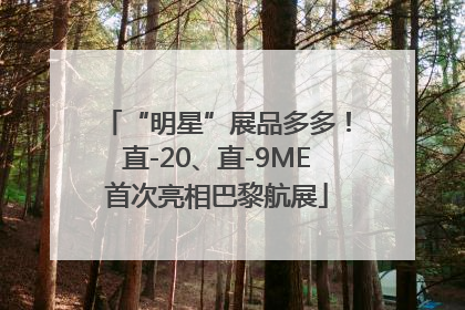 “明星”展品多多！直-20、直-9ME首次亮相巴黎航展