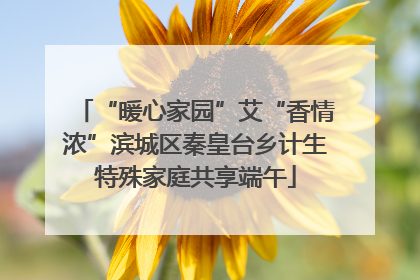 “暖心家园”艾“香情浓”滨城区秦皇台乡计生特殊家庭共享端午