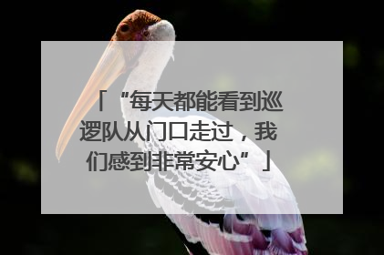 “每天都能看到巡逻队从门口走过，我们感到非常安心”