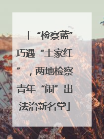 “检察蓝”巧遇“土家红”，两地检察青年“闹”出法治新名堂