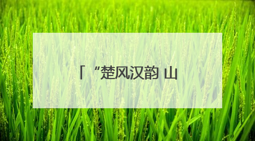 “楚风汉韵 山水淮南”2025八公山风景区推介会惊艳上海