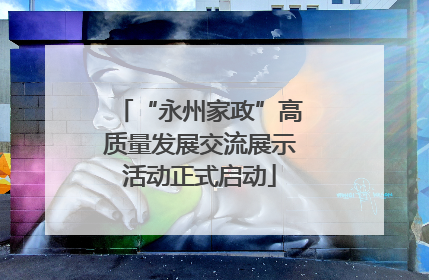 “永州家政”高质量发展交流展示活动正式启动