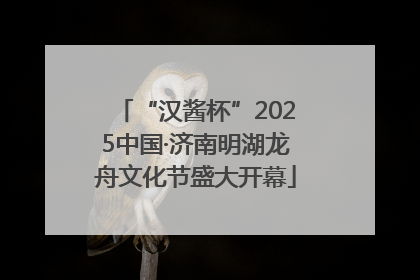 “汉酱杯”2025中国·济南明湖龙舟文化节盛大开幕
