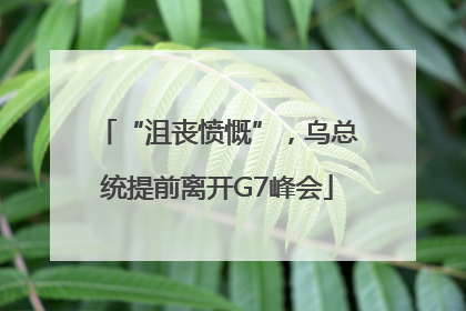 “沮丧愤慨”，乌总统提前离开G7峰会