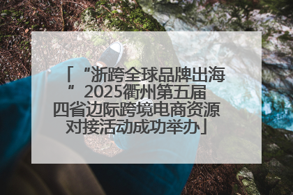“浙跨全球品牌出海”2025衢州第五届四省边际跨境电商资源对接活动成功举办