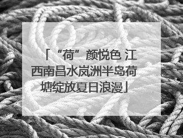 “荷”颜悦色 江西南昌水岚洲半岛荷塘绽放夏日浪漫